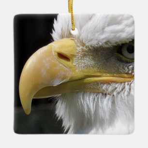 EAGLE BIRD OF PREY CERAMIC ORNAMENT