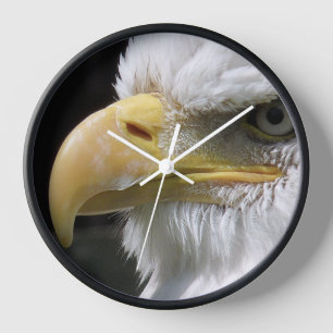 EAGLE BIRD OF PREY CLOCK