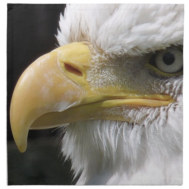 EAGLE BIRD OF PREY CLOTH NAPKIN (Front)