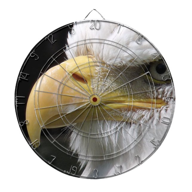 EAGLE BIRD OF PREY  DART BOARD (Front)
