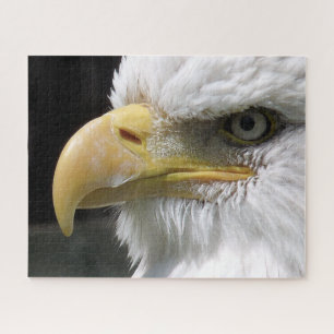 EAGLE BIRD OF PREY JIGSAW PUZZLE