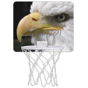 EAGLE BIRD OF PREY MINI BASKETBALL HOOP