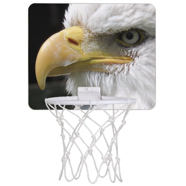 EAGLE BIRD OF PREY  MINI BASKETBALL HOOP (Front)
