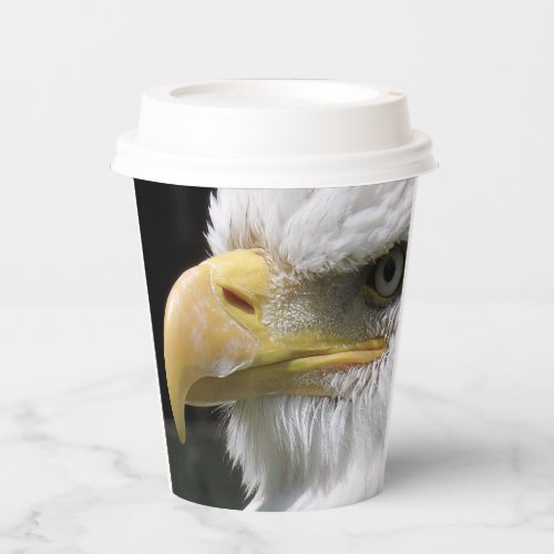 EAGLE BIRD OF PREY PAPER CUPS