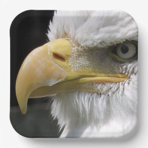 EAGLE BIRD OF PREY PAPER PLATES