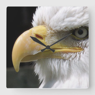 EAGLE BIRD OF PREY SQUARE WALL CLOCK