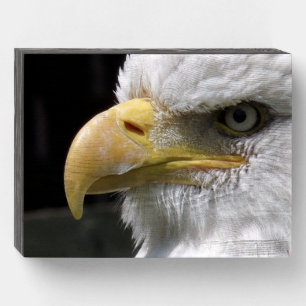 EAGLE BIRD OF PREY  WOODEN BOX SIGN