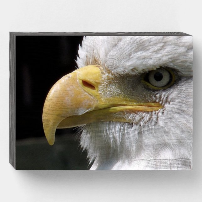 EAGLE BIRD OF PREY  WOODEN BOX SIGN (Front Horizontal)