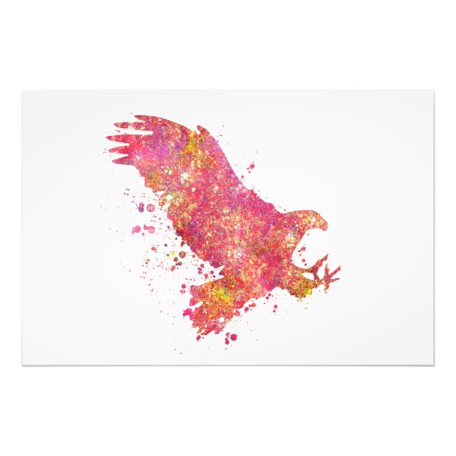 Eagle Birds Wild Forest Nature World Earth Flight Photo Print (Front)