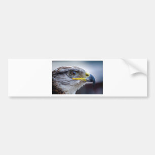 Eagle Bumper Sticker