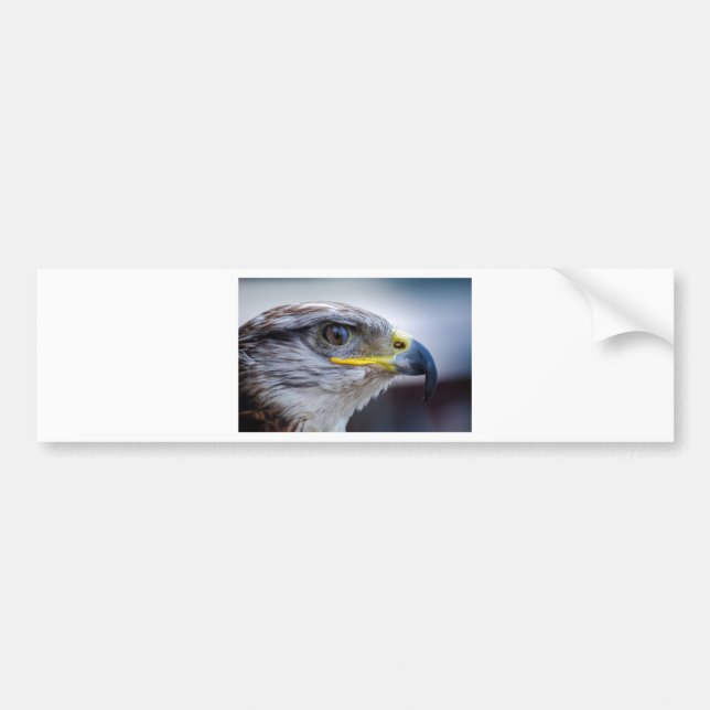 Eagle Bumper Sticker (Front)