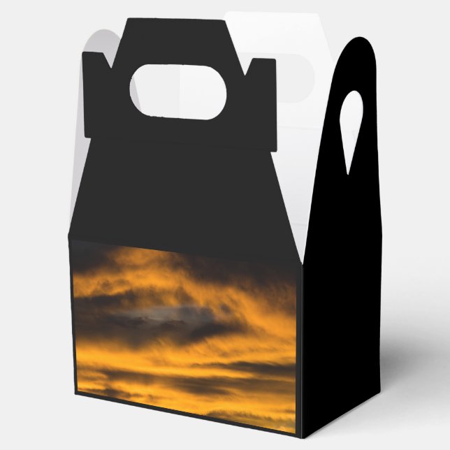 eagle burnout favor boxes (Opened)