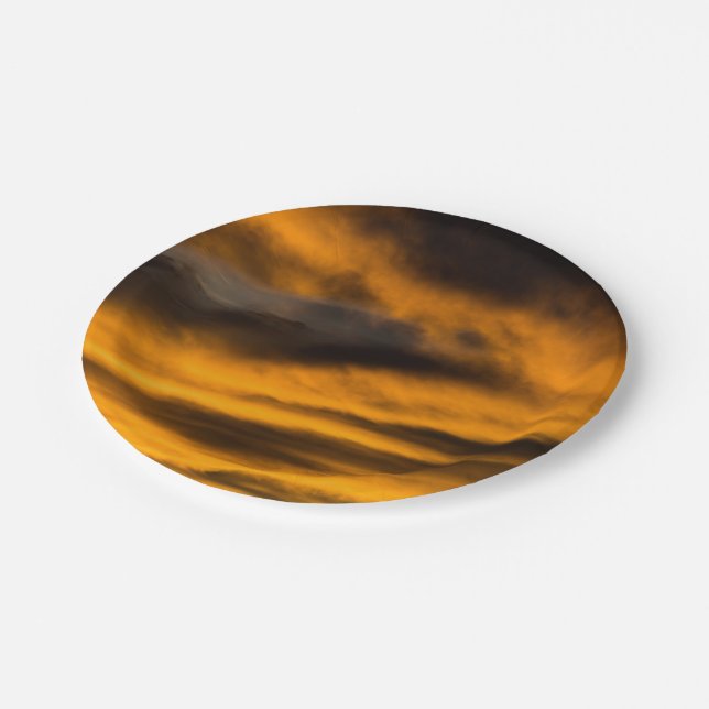 eagle burnout paper plates (Angled)