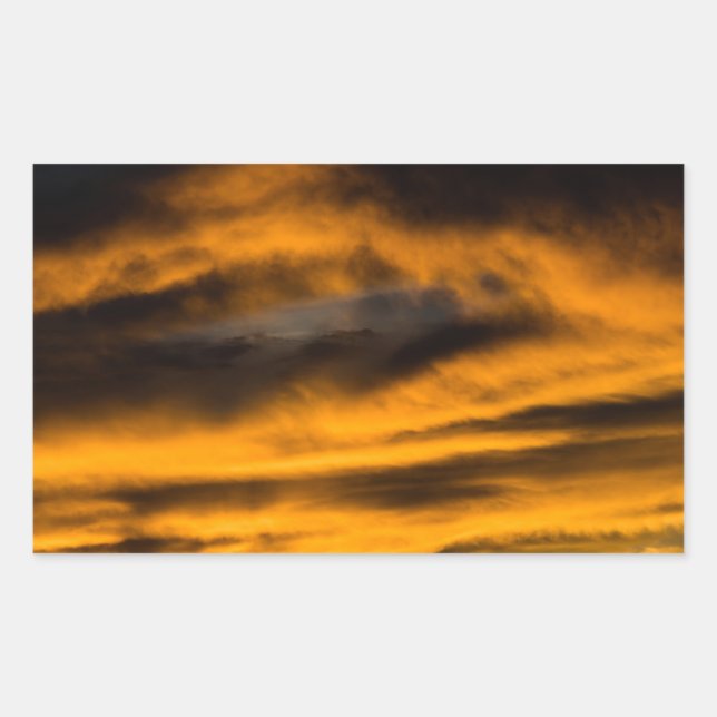 eagle burnout rectangular sticker (Front)