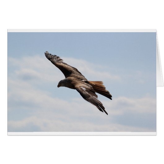 Eagle Cards (Front Horizontal)