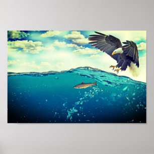 Eagle catching a fish poster