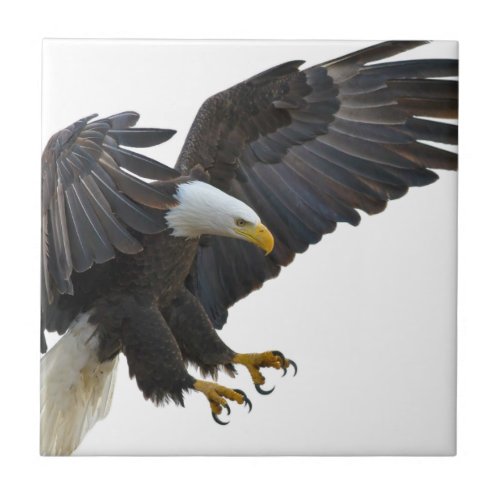 Eagle Ceramic Tile