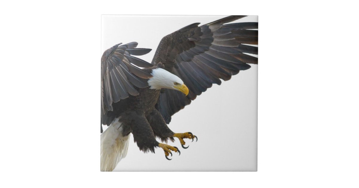 Eagle Ceramic Tile | Zazzle