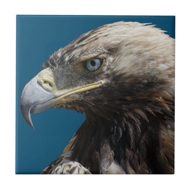 Eagle Ceramic Tile (Front)