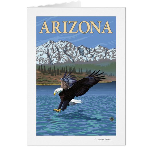 Eagle DivingArizona Cards (Front)