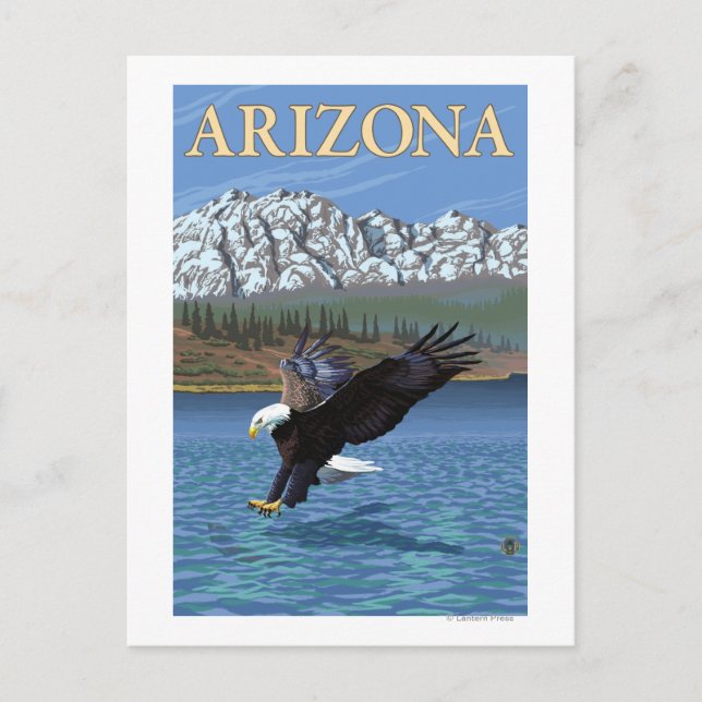 Eagle DivingArizona Postcard (Front)