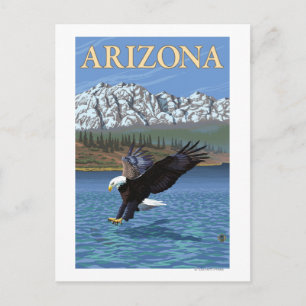 Eagle DivingArizona Postcard
