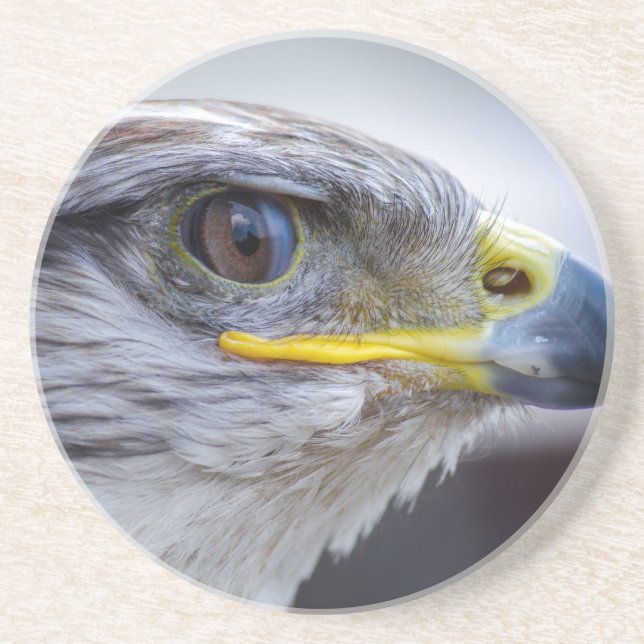 Eagle Drink Coaster (Front)