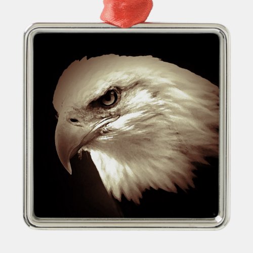 Eagle Eyes Metal Ornament