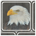 Eagle Fabric