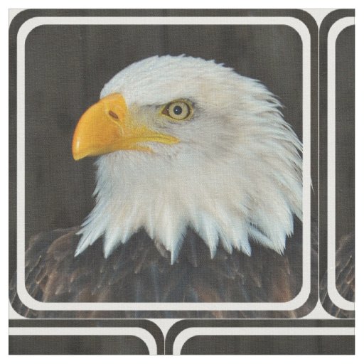 Eagle Fabric