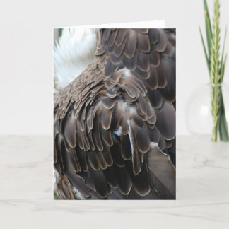 "Eagle Feathers" Greeting Card