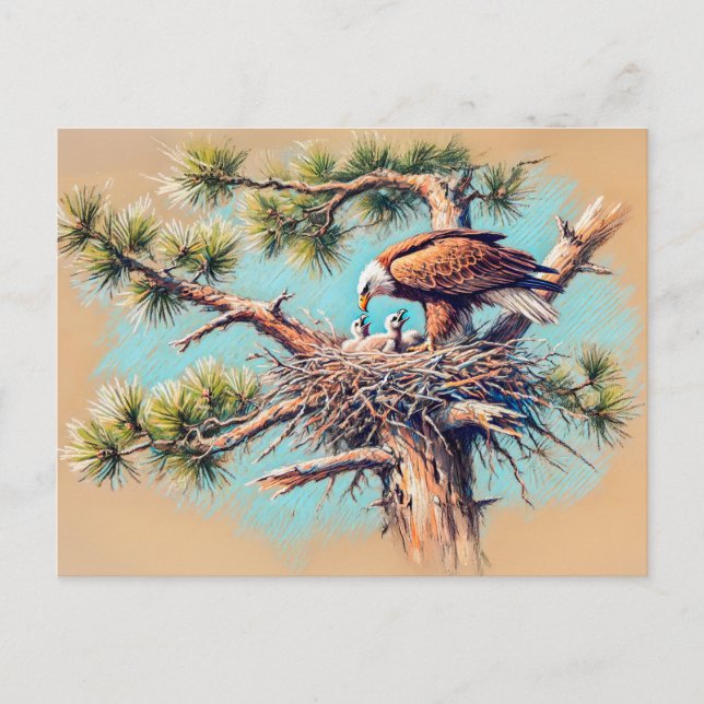 Eagle Feeding Young in Nest on Pine Tree Pastel Postcard (Front)