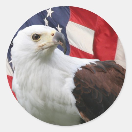 Eagle & Flag Classic Round Sticker