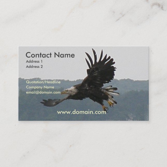 Eagle Flight Business Card (Front)