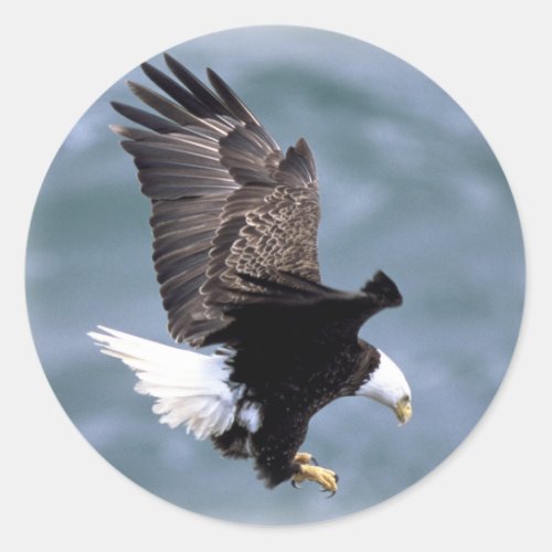Eagle Flight Classic Round Sticker
