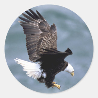 Eagle Flight Classic Round Sticker