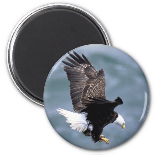 Eagle Flight Magnet