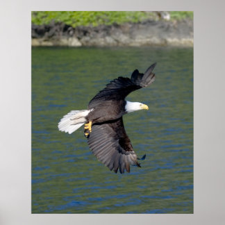 EAGLE FLIGHT POSTER