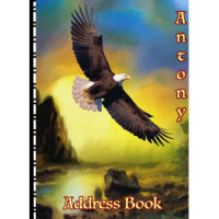 Eagle Flying Over Canyon Telephone Address Book