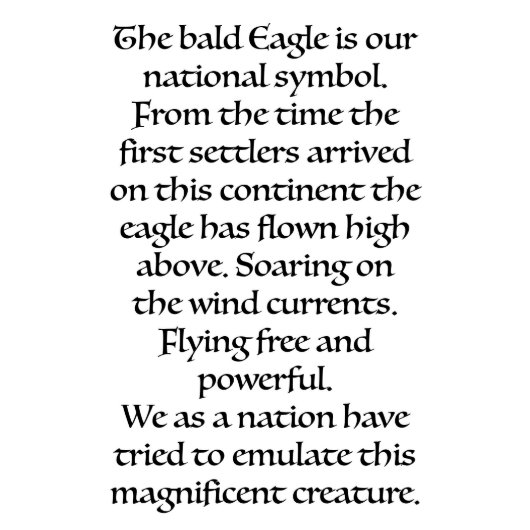 Eagle Flying Over Canyon Telephone Address Book (inside cover)