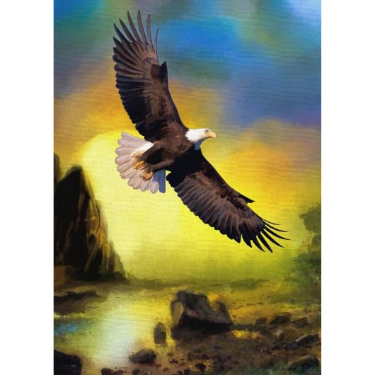 Eagle Flying Over Canyon Telephone Address Book (Front)