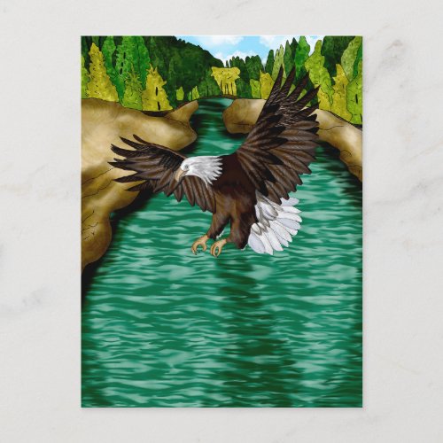 Eagle Flying over River in the Mountains   Postcard