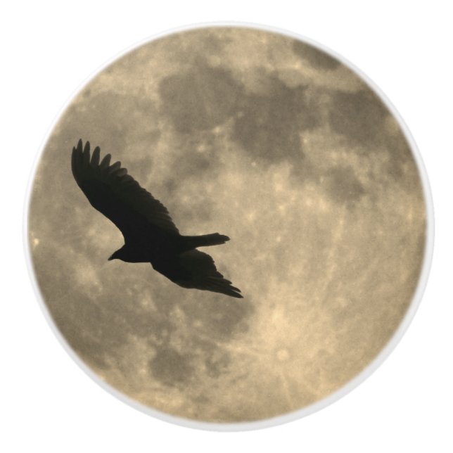 Eagle Flying Silhouette on Moon Drawer Pull Knob (Front)