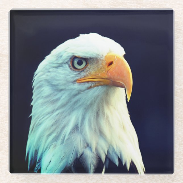 Eagle Glass Coaster (Front)