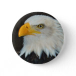 Eagle Head Button