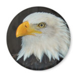 Eagle Head Magnet