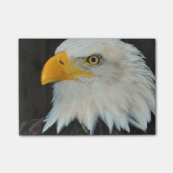 Eagle Head Post-it Notes by WildlifeAnimals at Zazzle