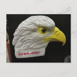 Eagle Head Postcard