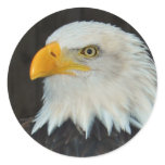 Eagle Head Stickers