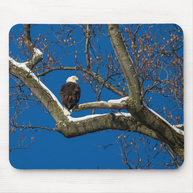 Eagle in a  Snowy Tree Mouse Pad (Front)